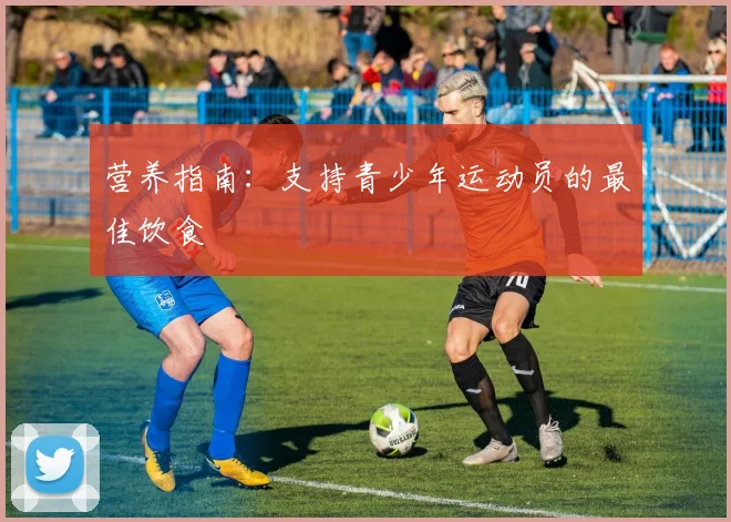 营养指南:支持青少年运动员的最佳饮食